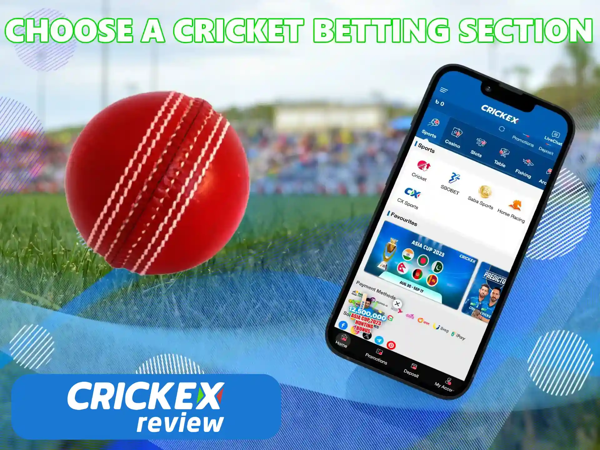 Open the cricket section in the Crickex sportsbook.